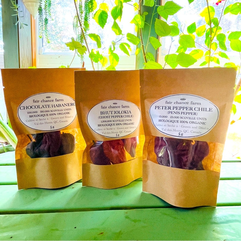 Bhut Jolokia Ghost Pepper organic dried hot chile peppers